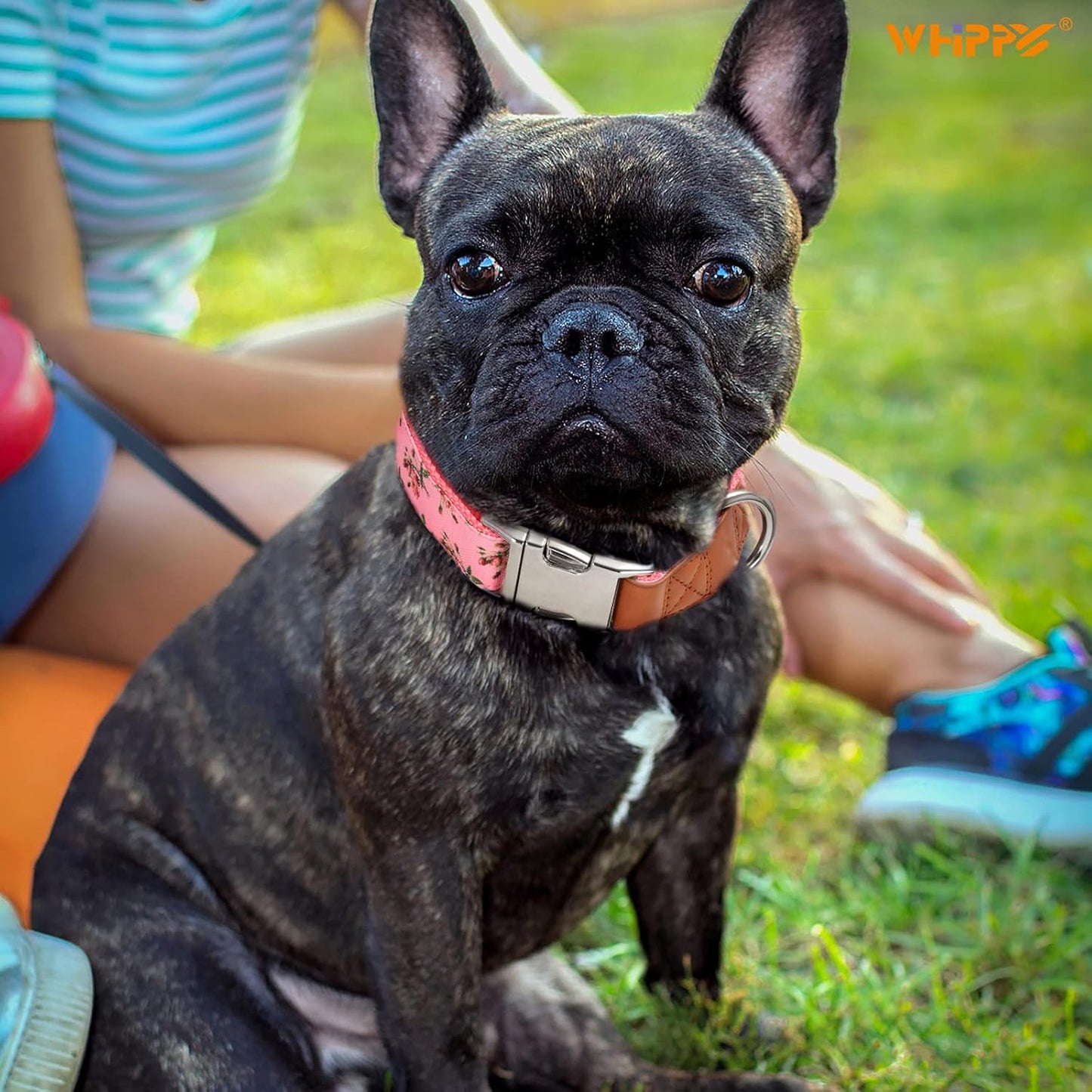 Floral Dog Collar