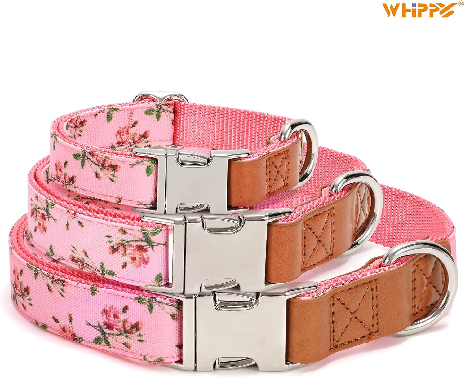 Floral Dog Collar